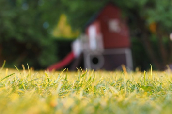 yard waste dumpster rentals