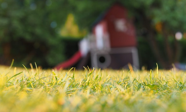 yard waste dumpster rentals