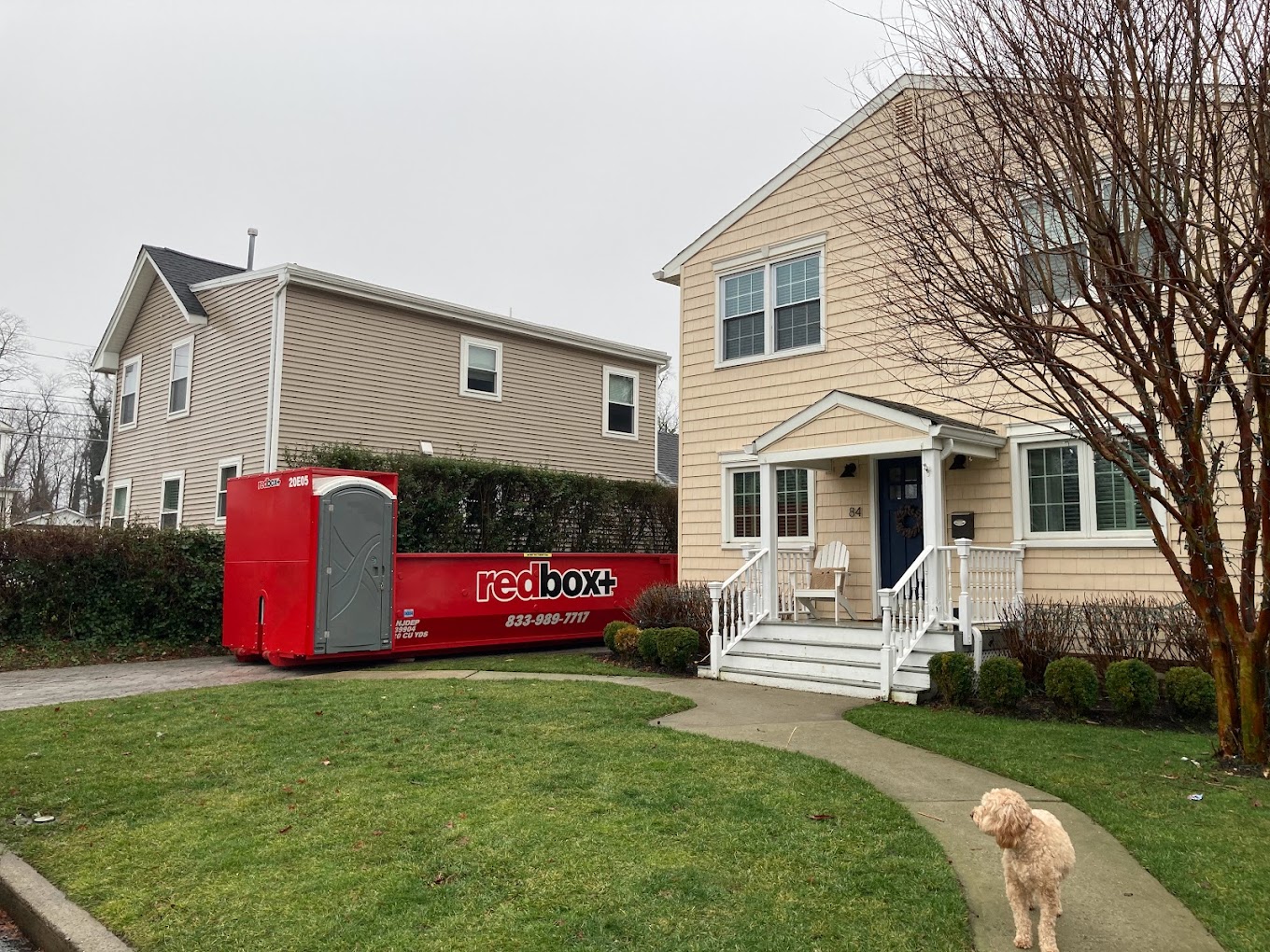 roll off dumpster in central new jersey