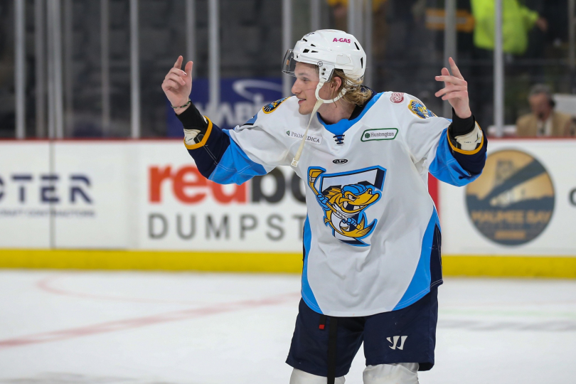 Toledo Walleye board sponsorship