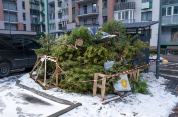 holiday roll off dumpster rental greenville sc